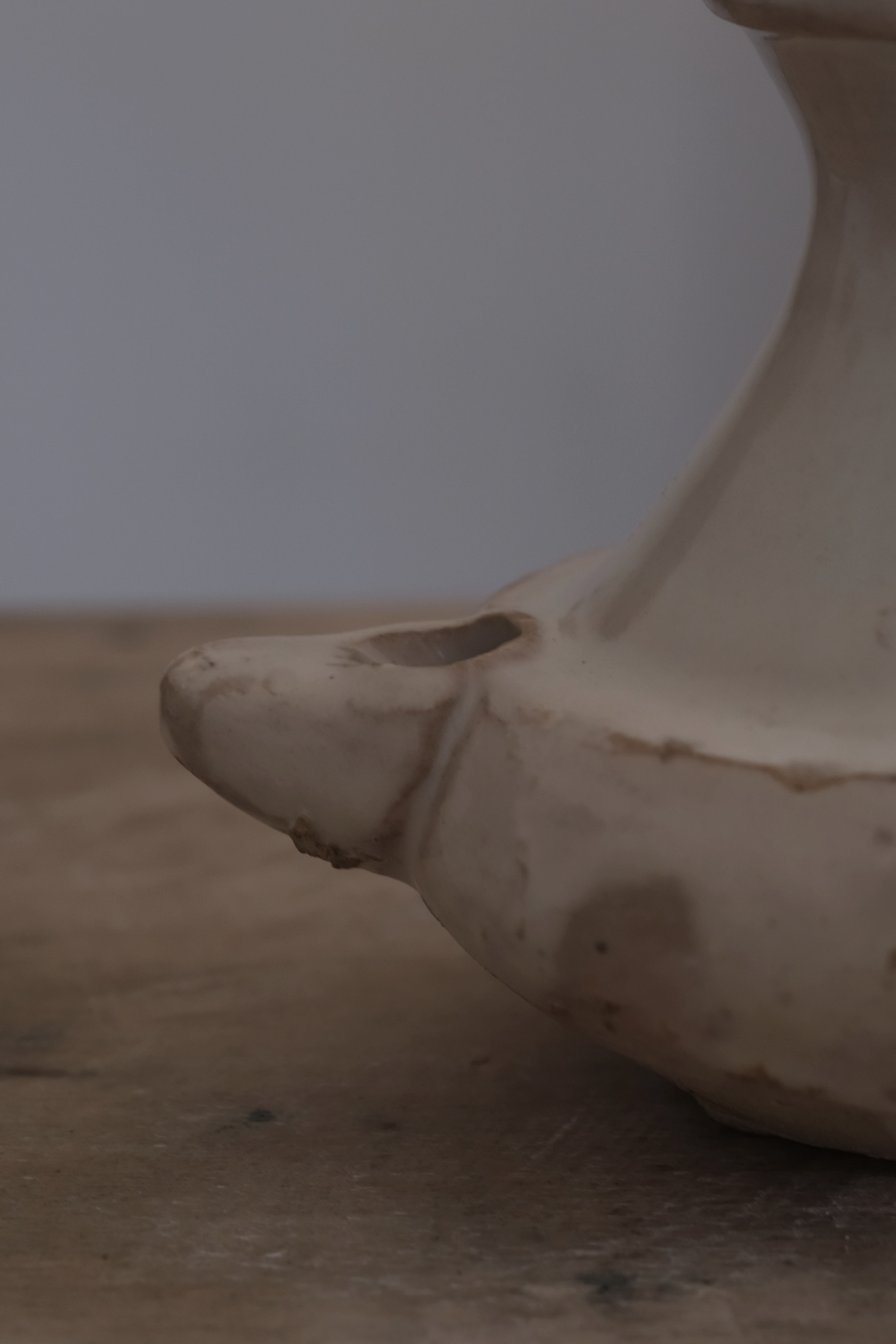 プーリア アンティーク 陶器 19世紀 グロッターリエ AN-24082