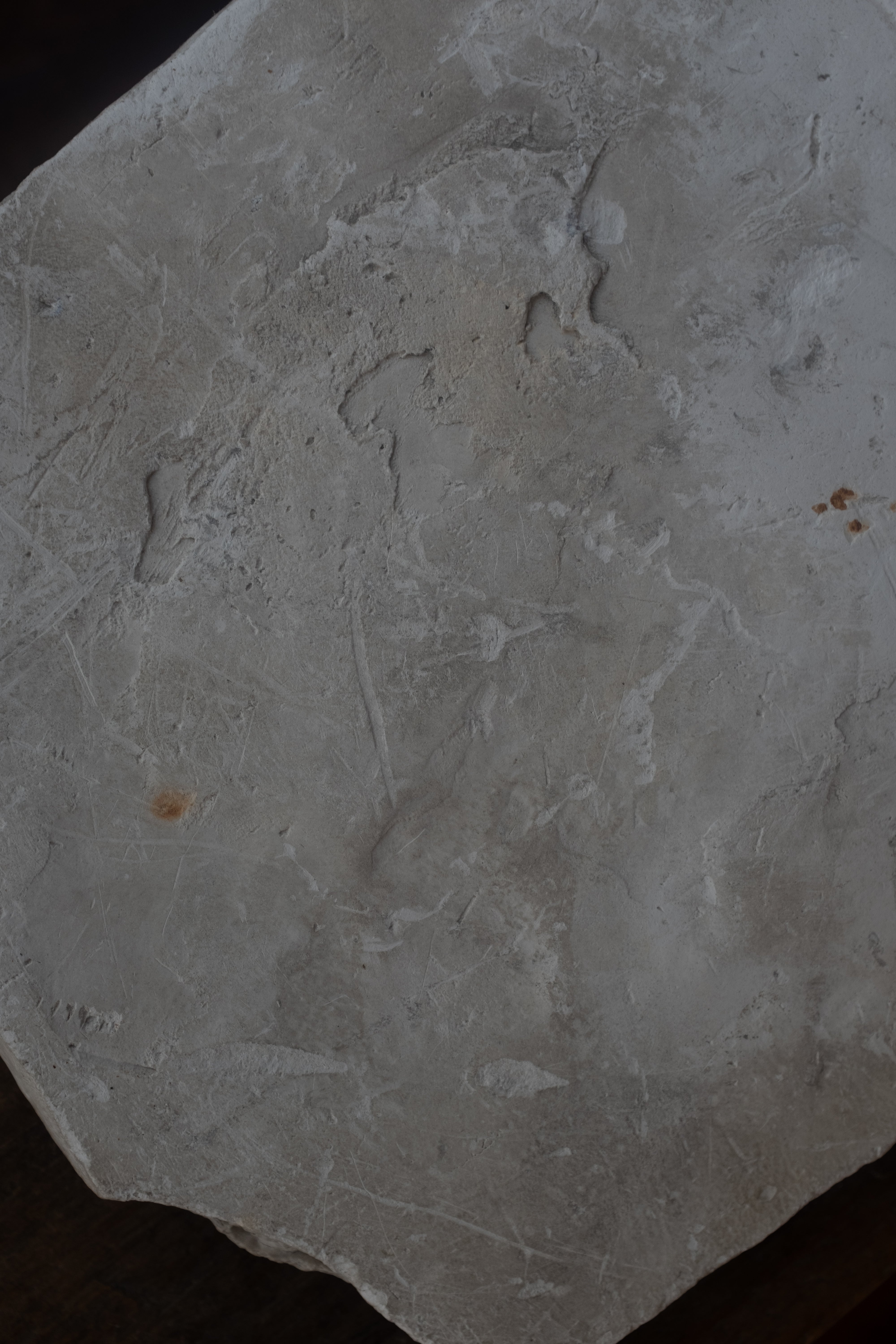  フランス アンティーク 石膏 オブジェ AT-21011, Plaster,- ambiant