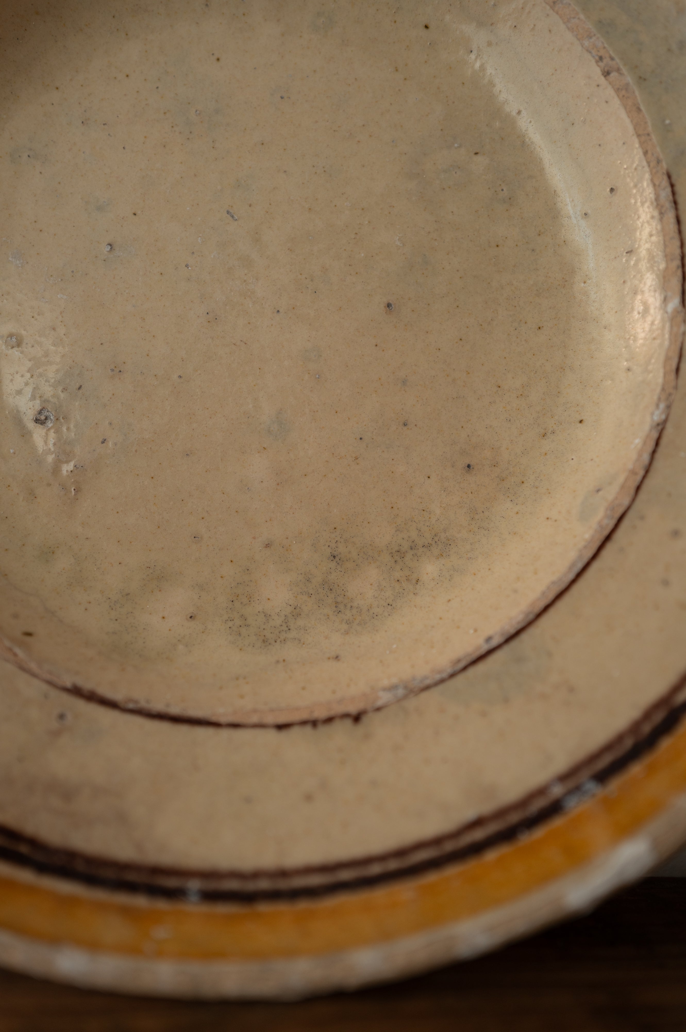 プーリア アンティーク 陶器 皿 19世紀 グロッターリエ AN-24169