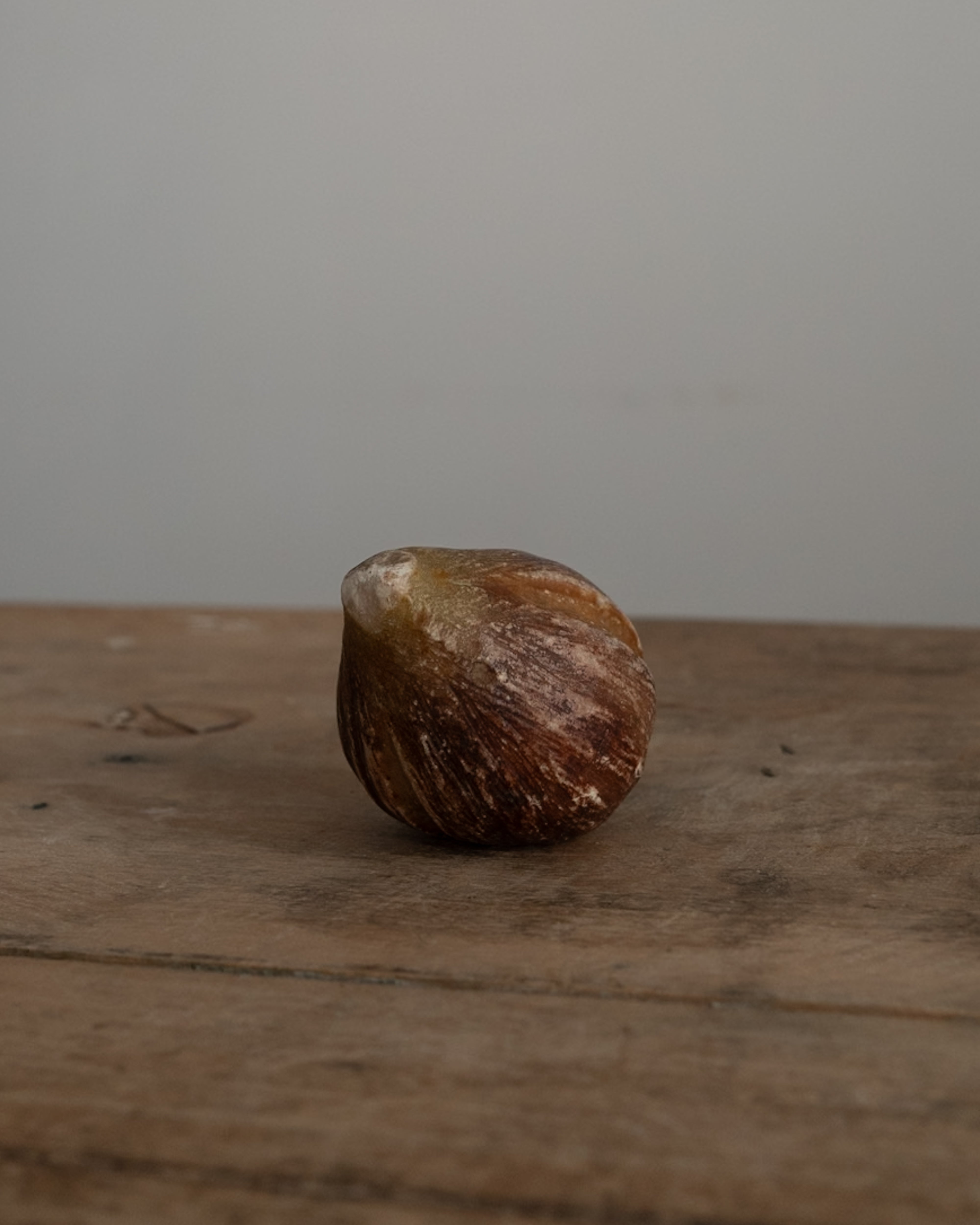 イタリア アンティーク 陶器 オブジェ イタリア AN-25163